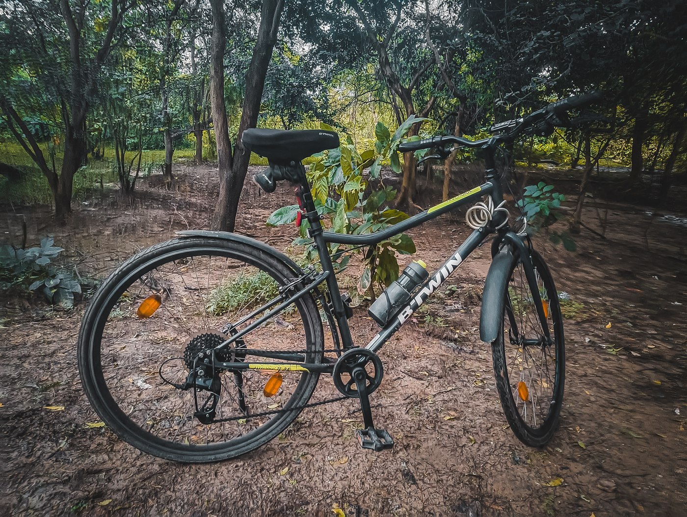 Adarsh’s bicycle on a wooded trail
